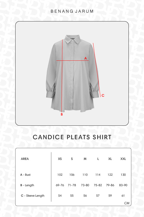 Candice Pleats Shirt - Blue