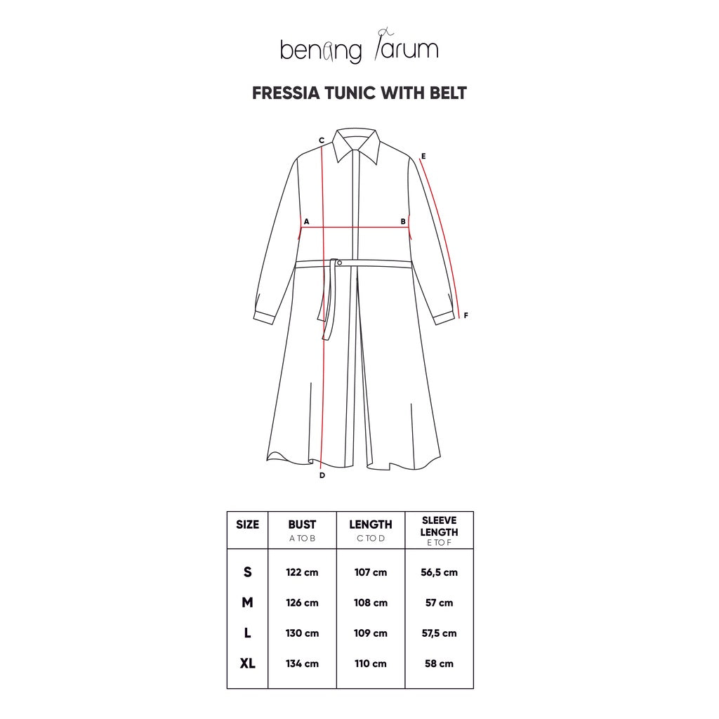 Fressia Tunic with Belt - Blue